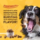 naturvet-scoopables-omega-gold-anchovy-o-2.jpg