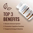 approved-science-mushroom-complex---supp-3.jpg