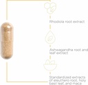 integrative-therapeutics-hpa-adapt---ada-3.jpg