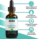 hormone-balance-for-women-chlorophyll-li-3.jpg