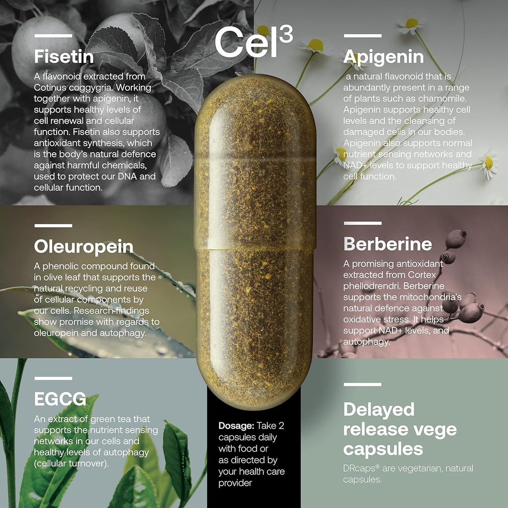 srw-cel3-renewal-60-capsules-stem-cell-s-2.jpg