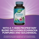 natures-way-echinacea-goldenseal-premium-5.jpg