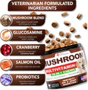 mushroom-for-dogs---170-chews---turkey-t-2.jpg
