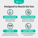 prebiotics-and-probiotics-lactobacillus--5.jpg