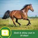 farnam-super-14-healthy-skin-coat-supple-2.jpg