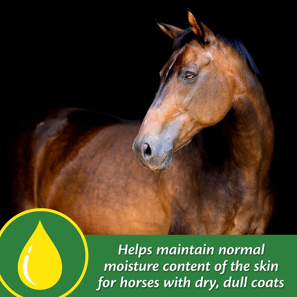 farnam-super-14-healthy-skin-coat-supple-4.jpg