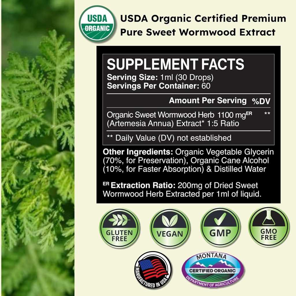 zenmen-organic-sweet-wormwood-artemisia--3.jpg