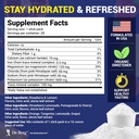 dr-berg-sugar-free-electrolyte-powder-pa-3.jpg