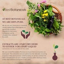 best-botanicals-oregon-grape-root-powder-3.jpg