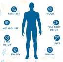 31-in-one-detox-and-liver-cleanser-fast--4.jpg