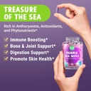 majus-powerful-purple-sea-moss-capsules--3.jpg