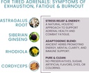 womens-health-network-adaptisolTM---help-2.jpg