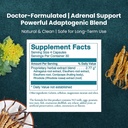 womens-health-network-adaptisolTM---help-4.jpg