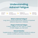 womens-health-network-adaptisolTM---help-5.jpg