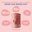 birdman-fitmingo-vegan-protein-powder-wi-4.jpg