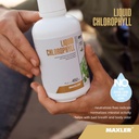 maxler-chlorophyll-liquid-natural-flavor-3.jpg