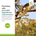 terry-naturally-bosmed-500---boswellia-s-5.jpg