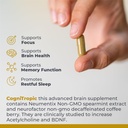 premier-research-labs-cognitropic---brai-4.jpg