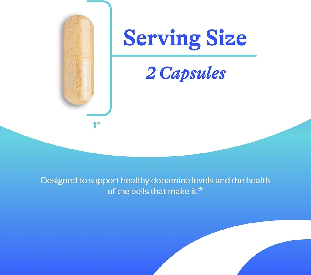 seeking-health-dopamine-nutrients-energy-3.jpg