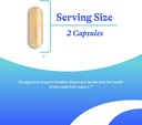 seeking-health-dopamine-nutrients-energy-3.jpg