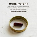solgar-full-spectrum-curcumin---90-licap-4.jpg