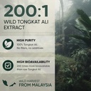 jungle-powders-tongkat-ali-for-men-2001--4.jpg
