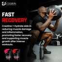 cerus-performance---performance-hydratio-4.jpg