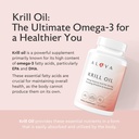 alaya-naturals---antarctic-krill-oil-500-2.jpg
