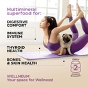 multimineral-sea-moss-gummies-3000-mg-wi-3.jpg