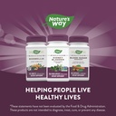 natures-way-kidney-bladder-traditional-h-6.jpg