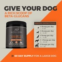 shield-allergy-immune-support-supplement-6.jpg