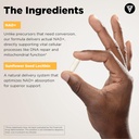 vital-vitamins-nad-supplement---nad-nico-5.jpg