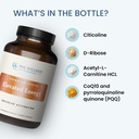 the-wellness-company-elevated-energy-120-4.jpg
