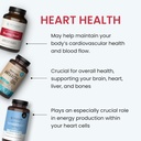 the-wellness-company-healthy-heart---car-6.jpg
