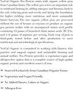 norcal-organic---premium-pea-protein-iso-2.jpg