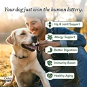 other-half-everyday---dog-multivitamin-s-3.jpg