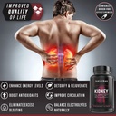 leviathan-super-kidney-cleanse-urinary-d-6.jpg