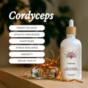 rainbo---cordyceps-mushroom-tincture---a-2.jpg
