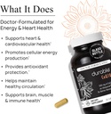 durable-coq10-300mg-coenzyme-q10-phytoso-3.jpg