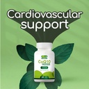 pure-coq10-energy-support-high-absorptio-5.jpg