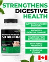 renew-actives-probiotics-for-women-50-bi-4.jpg