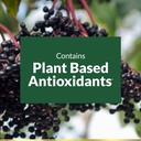 natures-bounty-sambucus-elderberry-herba-3.jpg