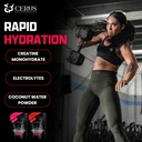 cerus-performance---performance-hydratio-2.jpg