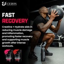 cerus-performance---performance-hydratio-3.jpg