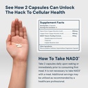 hpn-nad-booster-nicotinamide-riboside-al-3.jpg