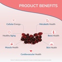 wellness-extract-eannatto-tocotrienols-d-5.jpg