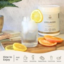 vtc-vitatradingco-grass-fed-collagen-pep-6.jpg