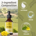 herbamama-mullein-leaf-extract-and-golde-6.jpg