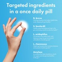 biohm-total-probiotic-and-gut-brain-conn-4.jpg