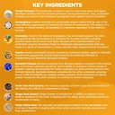 proteolytic-enzymes-supplement-with-serr-4.jpg